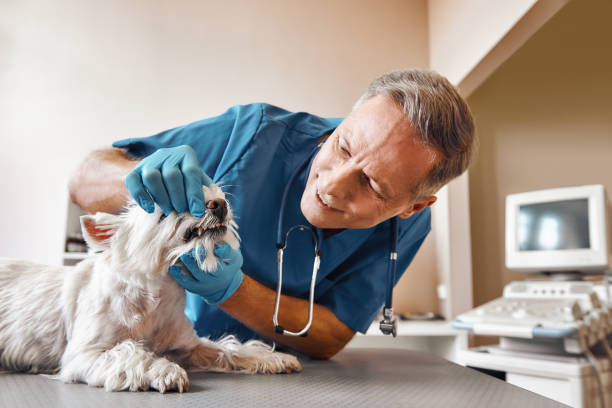Best Emergency Treatment for Oral Infections in Baytown, TX