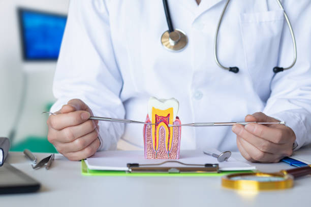 Best Emergency Denture Repair in Baytown, TX